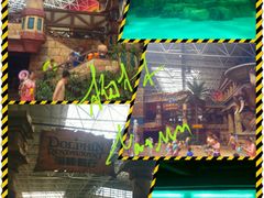 海豚互动-波塞冬旅游度假区