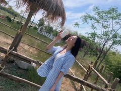 -茯茶镇