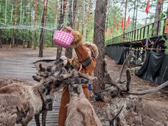 -北极村旅游风景区