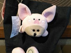 猪年福袋-星巴克(杭州湖滨银泰E区店)