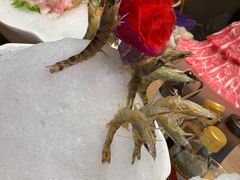 -尚海豆捞(乐虹坊店)