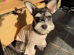 -百好乐宠物友好餐厅(朝外大街店)