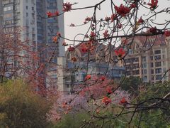 -晓港公园