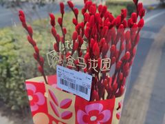 -盒马鲜生(新都心店)