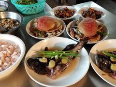 -小六农家乐(崇明西沙湿地店)