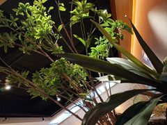 -菌自在·云南野生菌火锅(长安万达店)