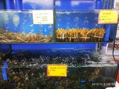 水产区-蚝专家(北滘店)