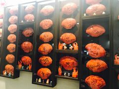 -龙海鲜螃蟹王(宏茂桥店)