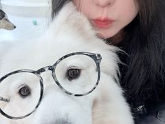 -汪说·狗咖·拼豆·宠物周边DIY(旺城大厦店)