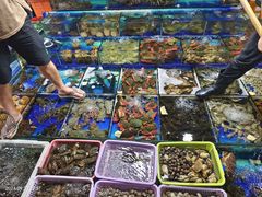 -霞涌市场海鲜摆卖区