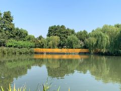 -圩墩遗址公园