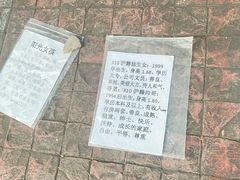 -人民公园-相亲角