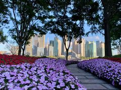 -北外滩滨江绿地