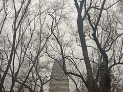 -西安博物院