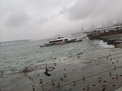 -星海广场