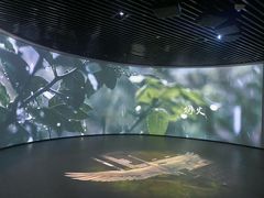 -中国湿地博物馆