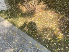 -糕材生•糕点•生日蛋糕(钟楼街店)