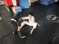 -金翼跆拳道巴西柔术拳击格斗学院