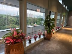 -百年果林椰子鸡(中洲店)