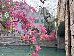 -赤坎·广东华侨国际旅游度假区