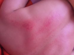 -本真坊美容美体沙龙