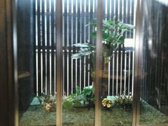 android_upload_pic-棠宴酒店(汉口学院店)