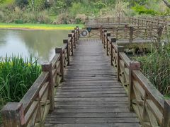 -桤木河湿地公园