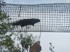 -祥源·阜阳生态乐园