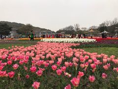 -无锡梅园公园