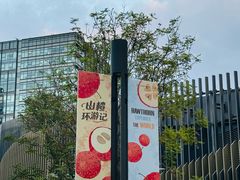 -凤凰汇购物中心
