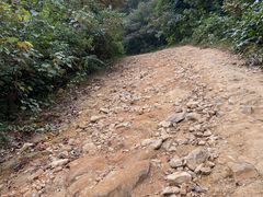 -黄埔油麻山森林公园