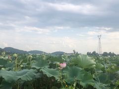 -抚州汤溪温泉