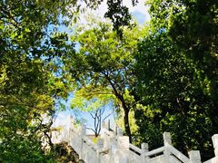 -上海市保健医疗中心(华东疗养院)
