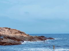-广东惠东海龟国家级自然保护区