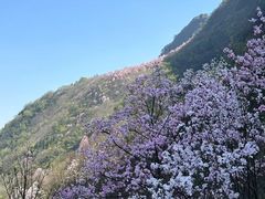 -九皇山景区