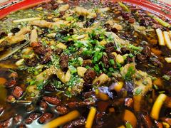 来凤鱼-东吴霸王兔(松青路店)