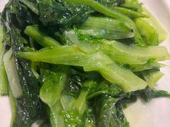 -陈麻婆豆腐(旗舰店)