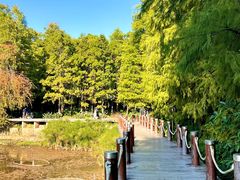 -深圳仙湖植物园