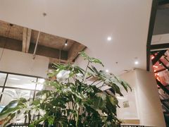 -大树餐厅(红旗街万达店)