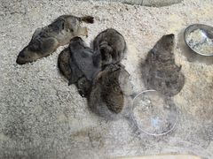 -南昌融创海世界