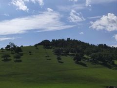 -关山草原