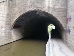 -白水寺森林公园