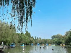 -扬州市茱萸湾风景区