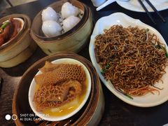 炒面-添运来(茶园奥园广场店)