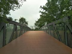 -白鹭湾湿地公园