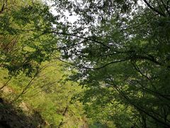 -北京上方山国家森林公园