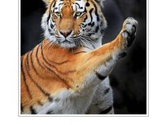 -吕氏疙瘩汤·新鲁菜(潍坊银座店)