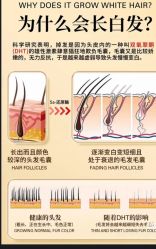 -Bollins波林丝•专研护发中心