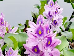 -白鹭湾湿地公园