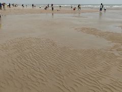 -日照海滨国家森林公园